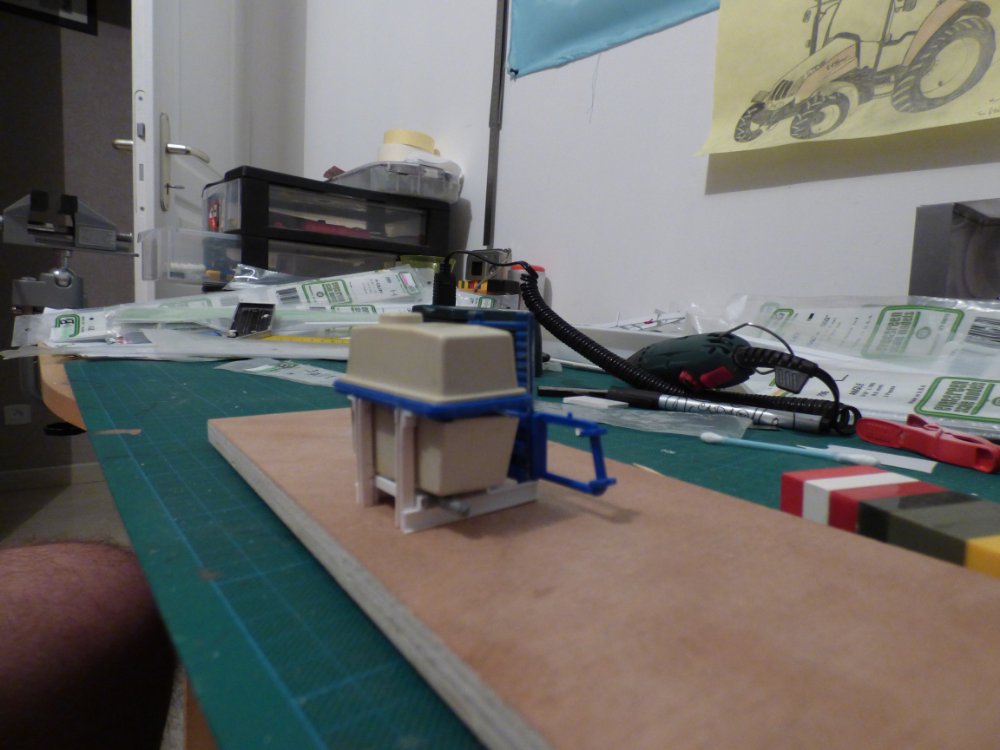 P1060490.JPG