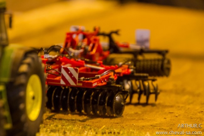 IMGA9801-23.jpg