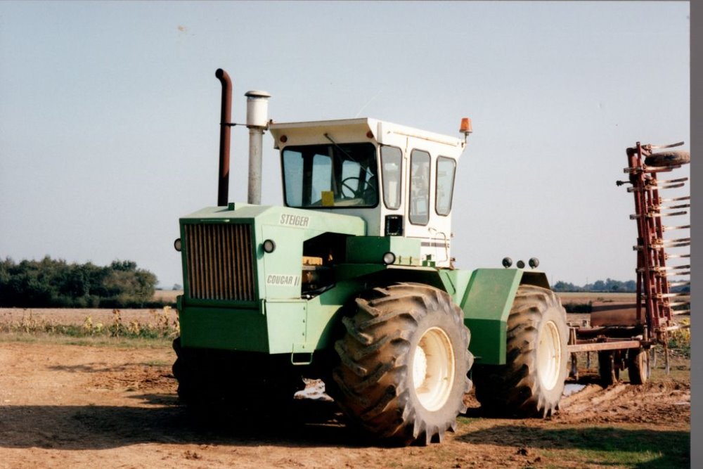 COUGAR 2 RABA VANDEL 2.jpg