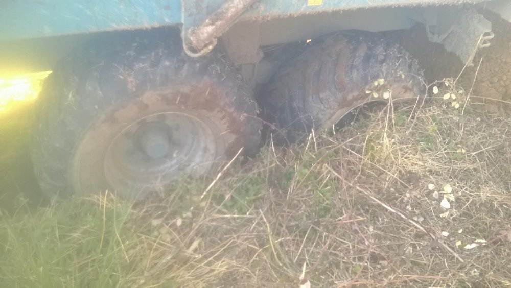 WP_20190226_002.jpg