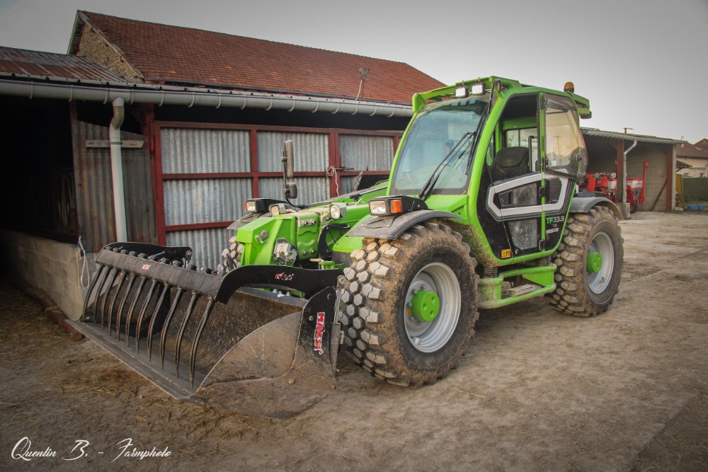 Merlo.JPG