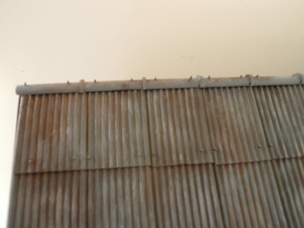 P1060055.JPG