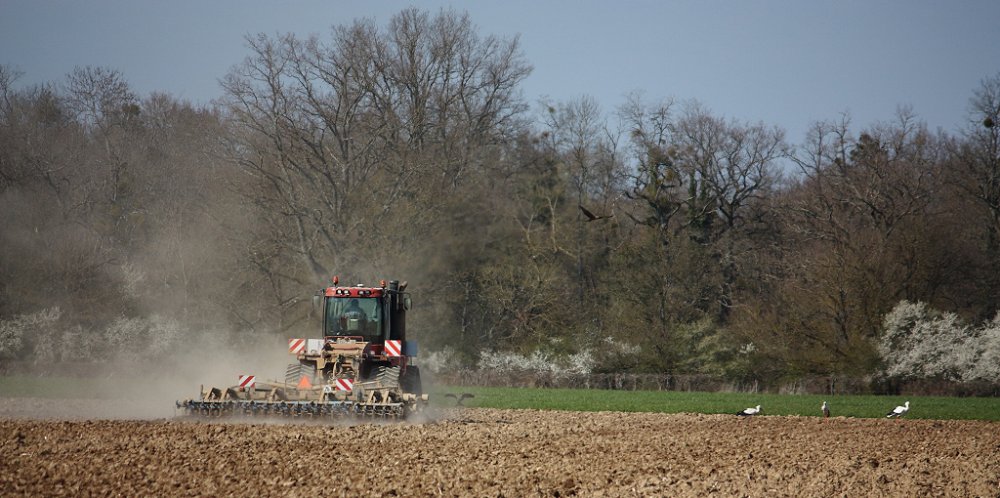 Prépa 2019 040.JPG
