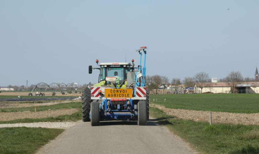 RB0A1161.JPG