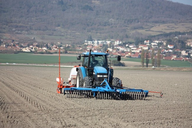 Semis2019 004.JPG