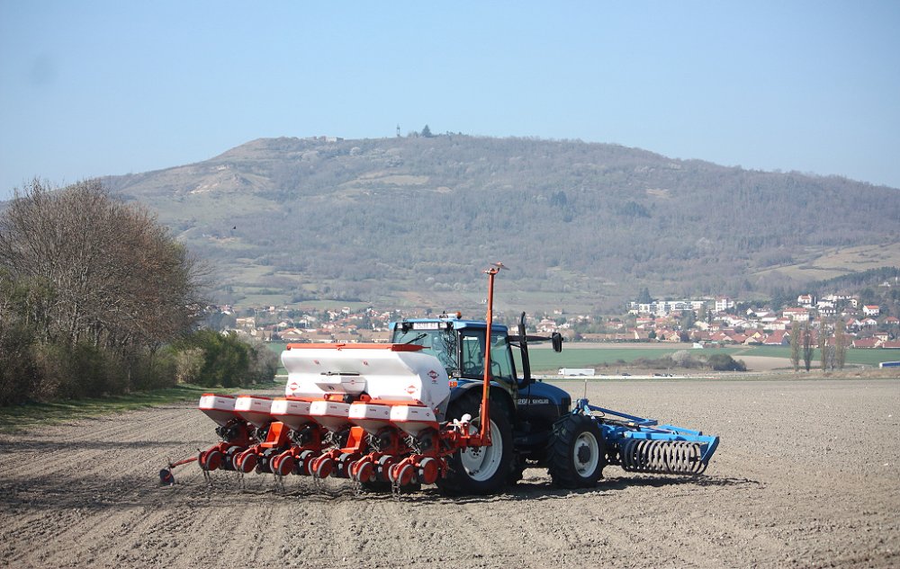 Semis2019 005.JPG