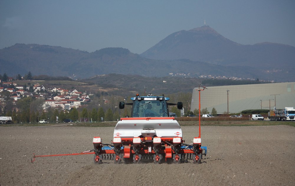 Semis2019 006.JPG