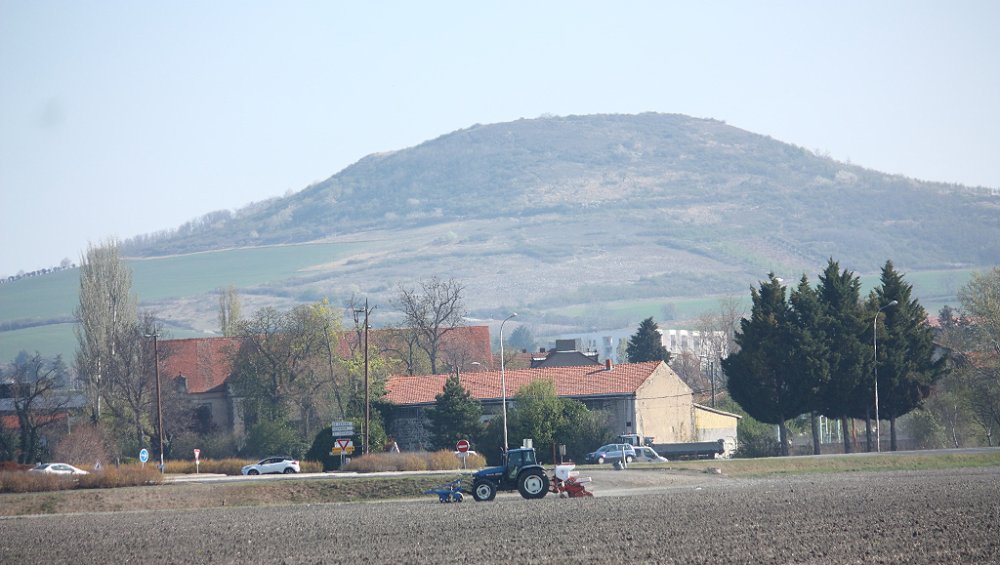 Semis2019 007.JPG