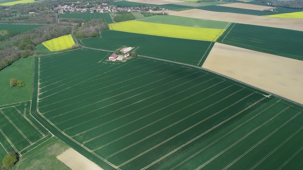 DJI_0003.JPG