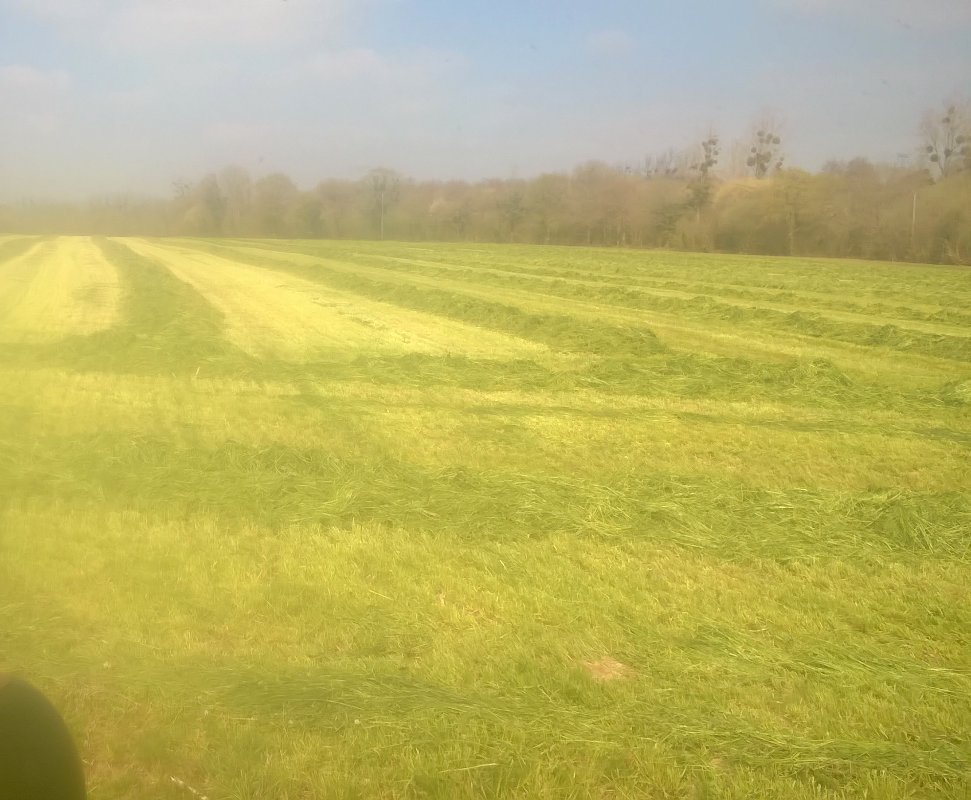 WP_20190412_001.jpg