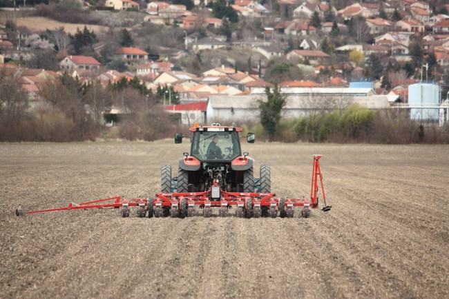 Semis2019 017.JPG