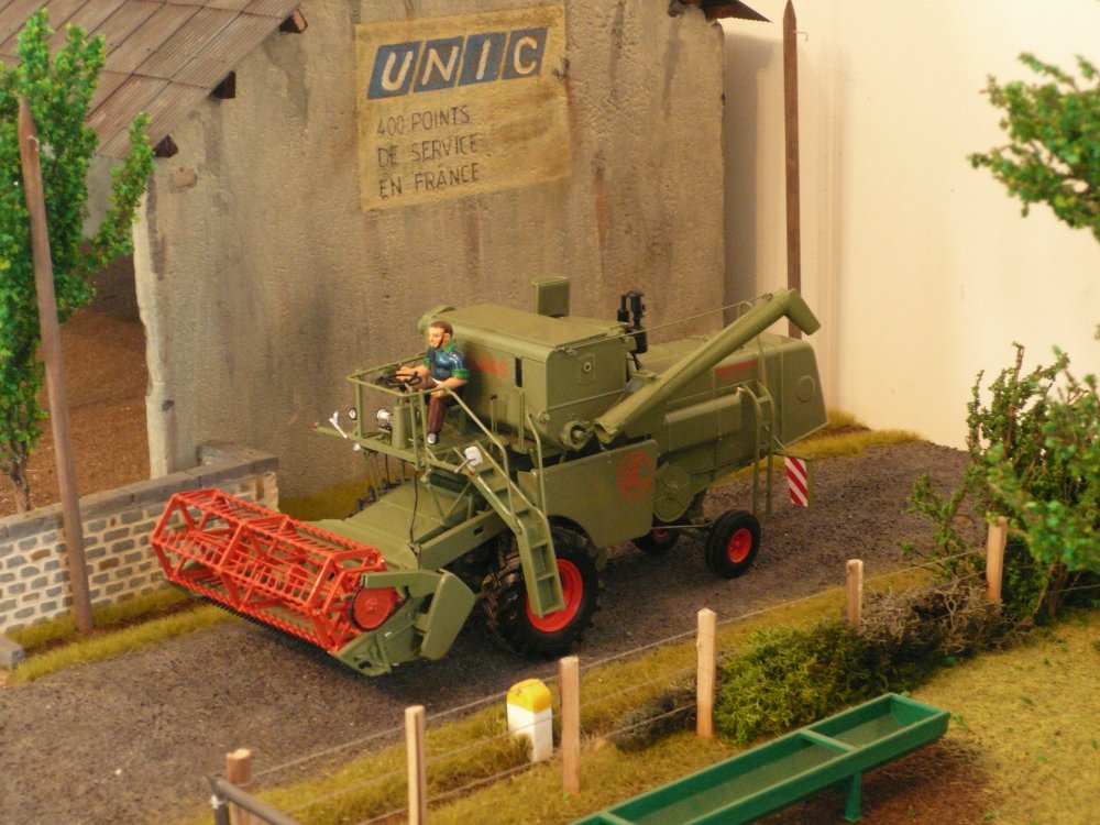 P1060133.JPG