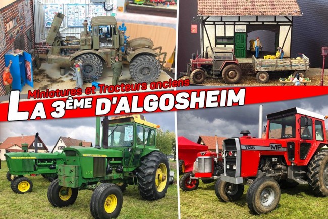 algosheim-expo.jpg