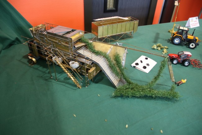RB0A2190.JPG