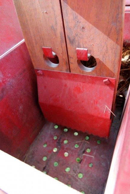 RB0A3384.JPG
