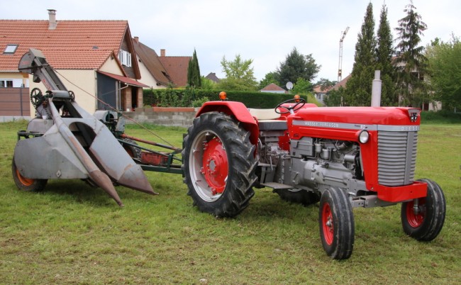 RB0A1834.JPG