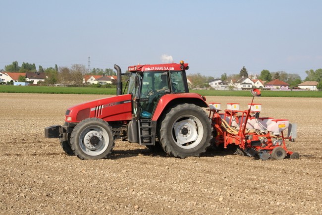 RB0A1612.JPG