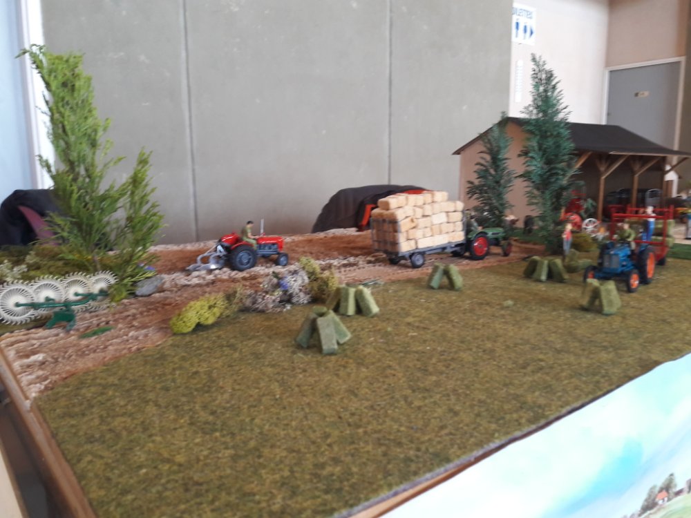 Expo Lempdes 2019 (13).jpg