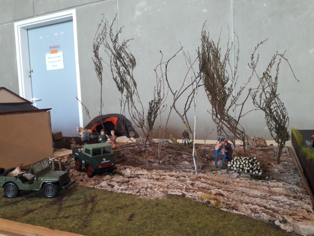 Expo Lempdes 2019 (15).jpg