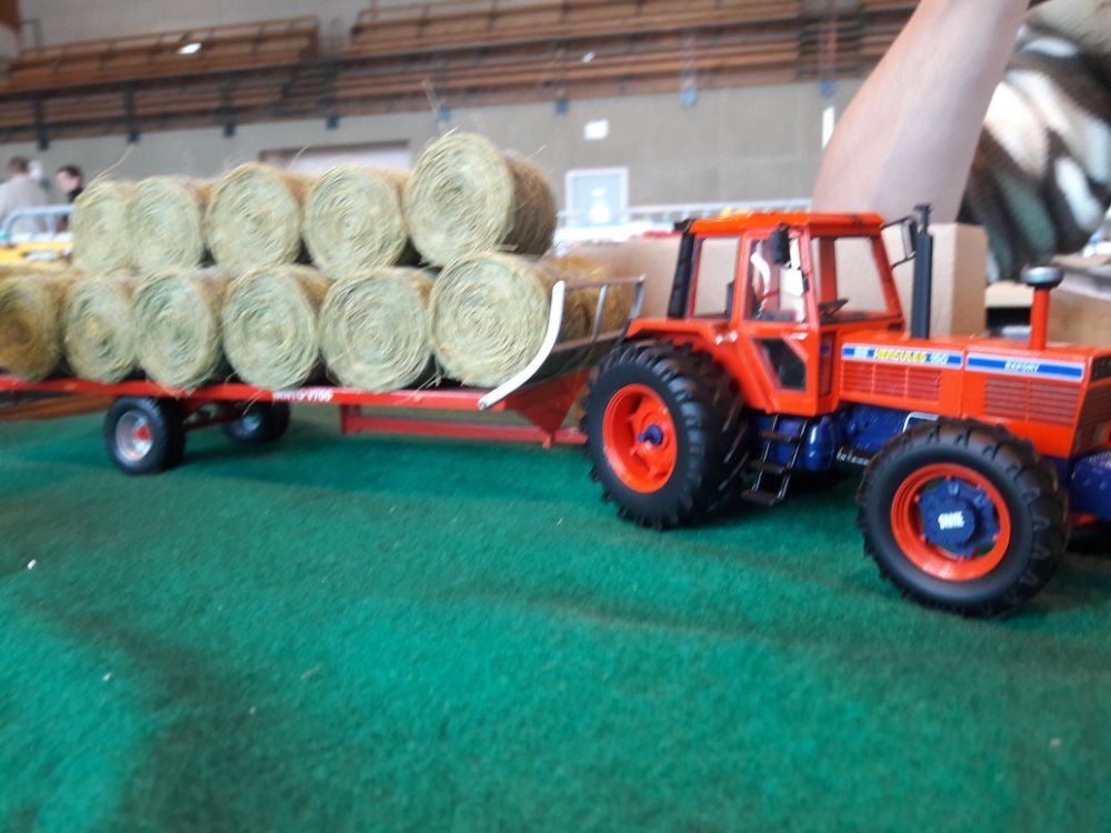 Expo Lempdes 2019 (68).jpg