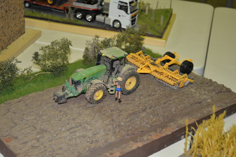 DSC_616820190602_13666.jpg