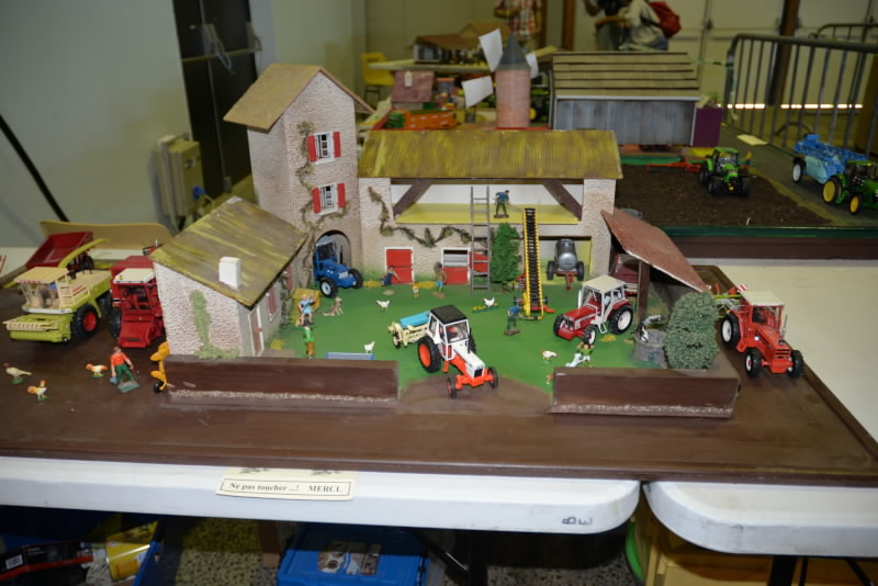 DSC_617420190602_13672.jpg