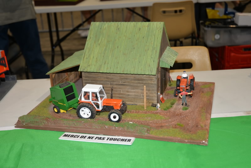 DSC_617920190602_13677.jpg