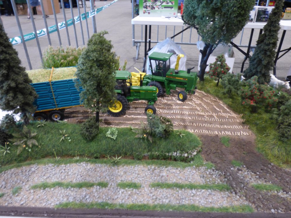 P1070261.JPG