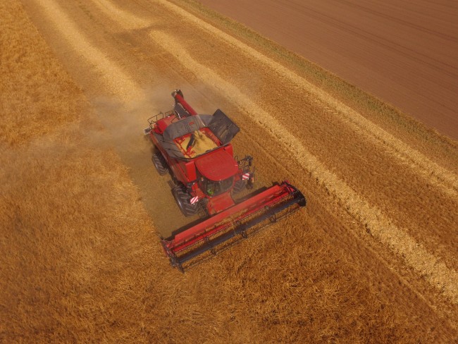 DJI_0016.JPG