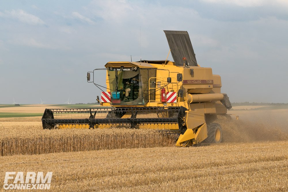 moisson-8106.jpg
