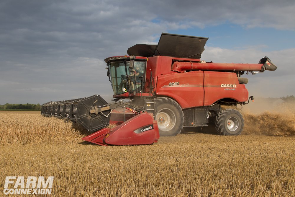 case ih 250-7486.jpg