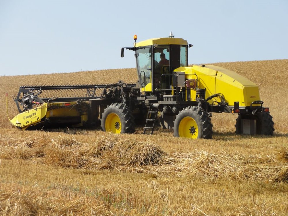 artec windrow 002.JPG