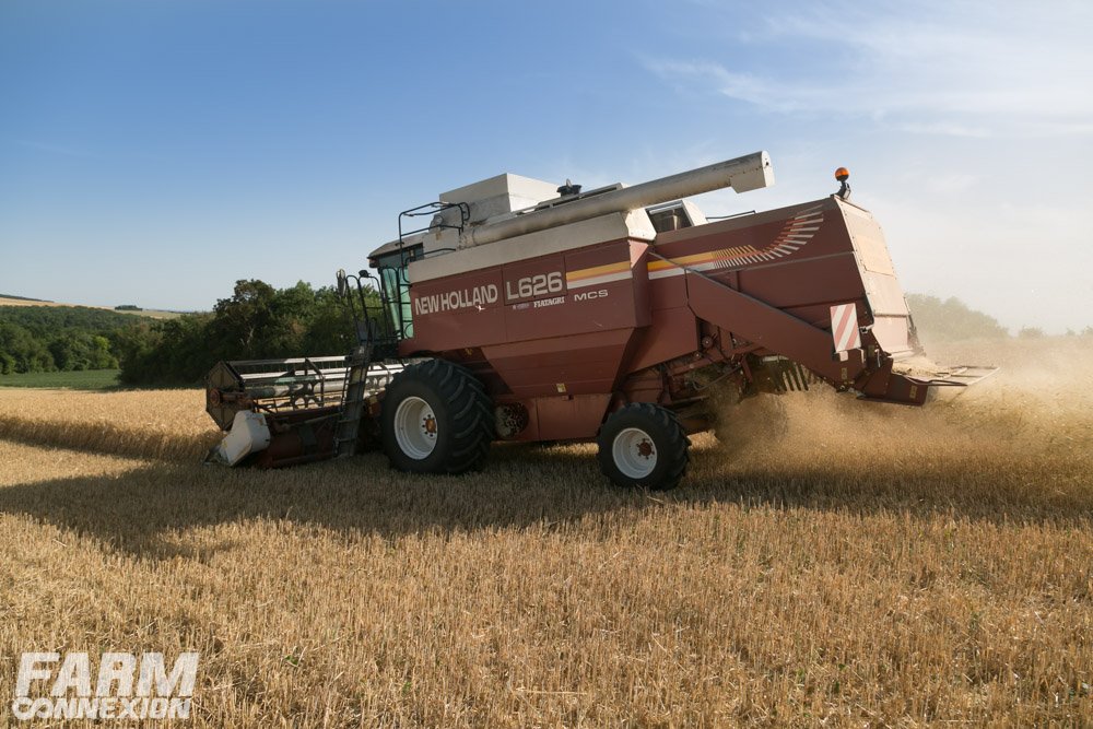 moisson 2019-0070.jpg