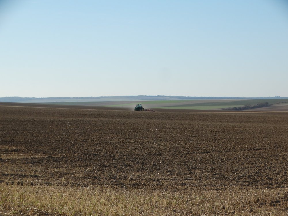 DSC04647.jpg
