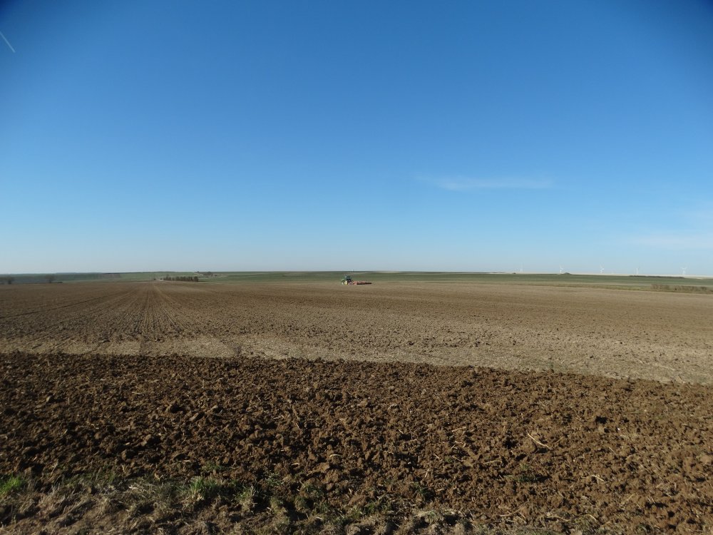 DSC04650.jpg