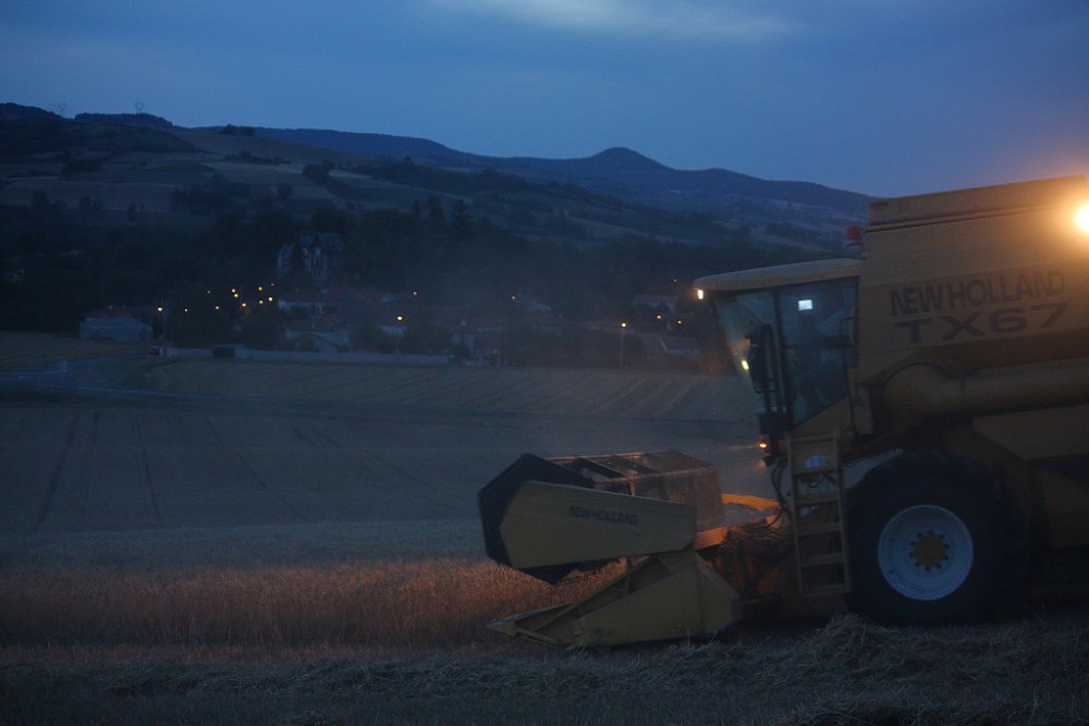 Moisson2019 065.JPG