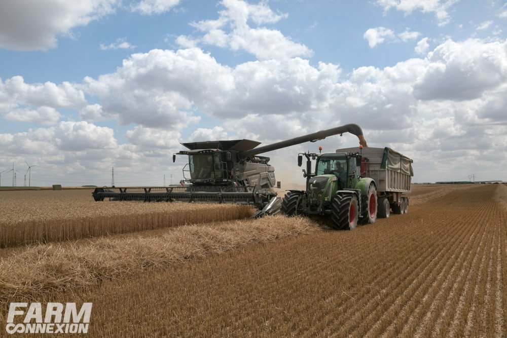 moisson-0760.jpg