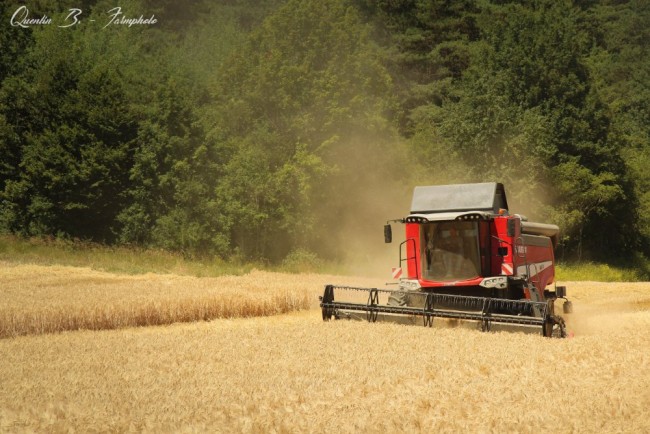 Escourgeon 2019-3.JPG