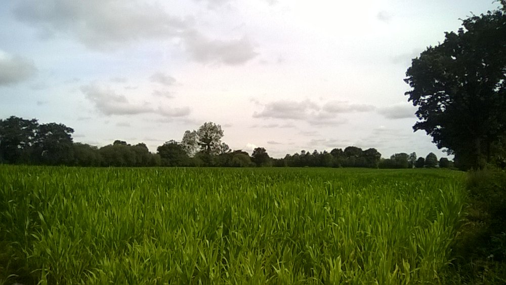 WP_20190721_002.jpg