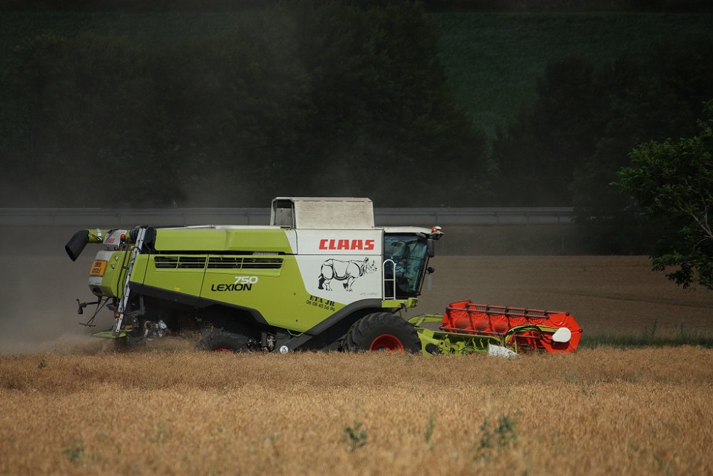 Moisson2019 107.JPG