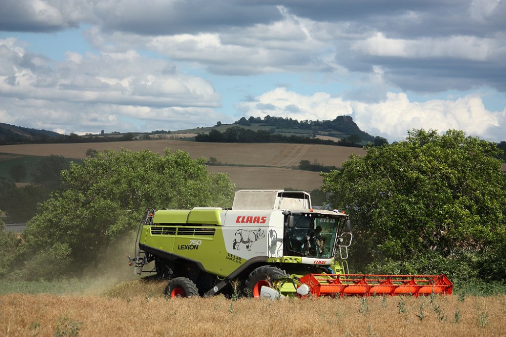 Moisson2019 112.JPG