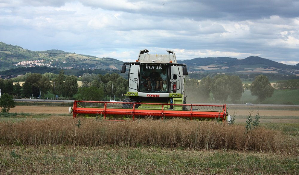 Moisson2019 124.JPG