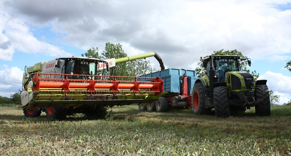Moisson2019 127.JPG