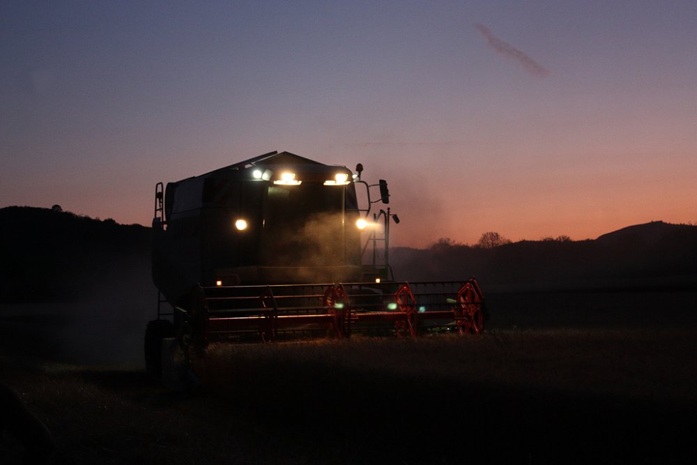 Moisson2019 274.JPG