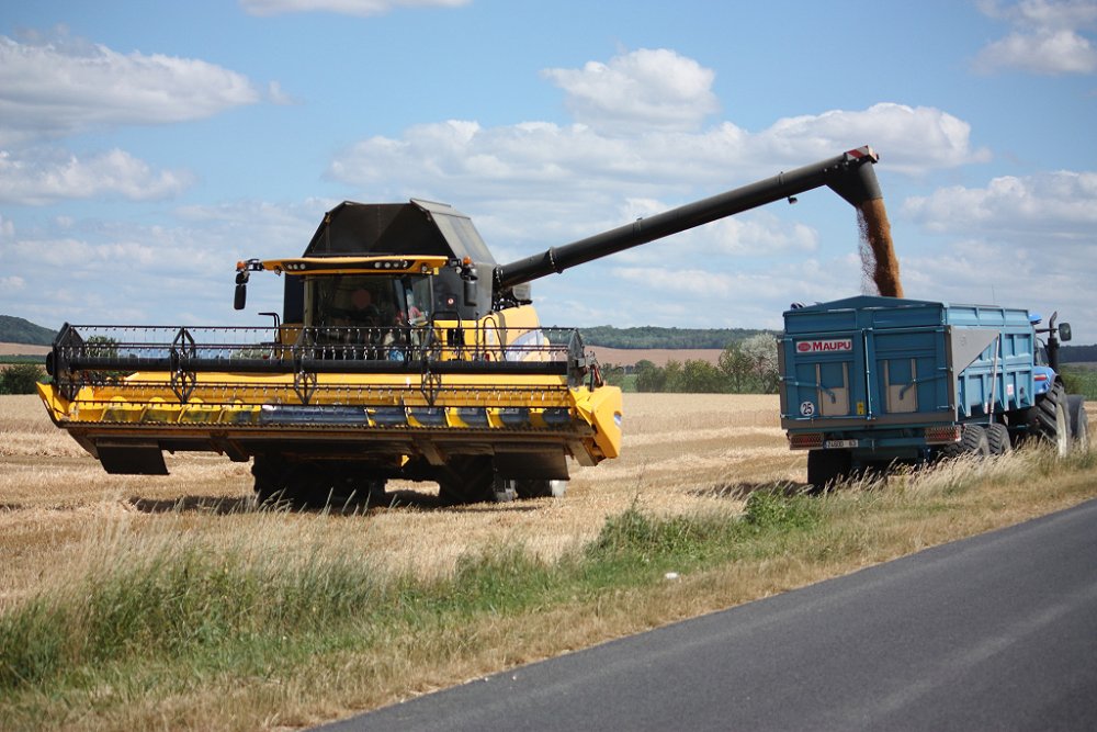 Moisson2019 295.JPG