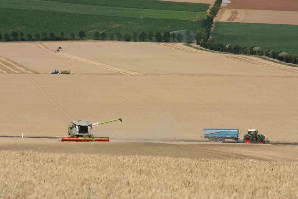Moisson2019 305.JPG