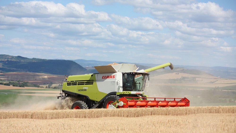 Moisson2019 311.JPG