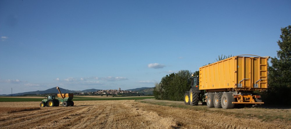 Moisson2019 367.JPG