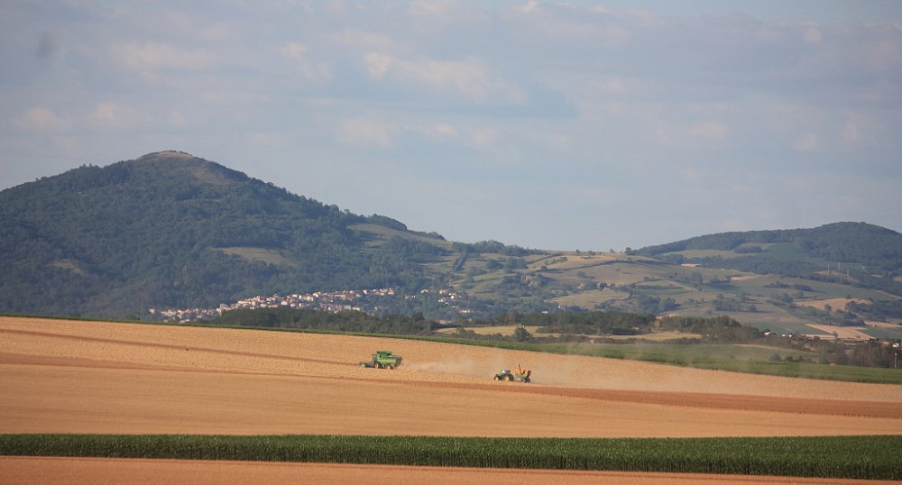 Moisson2019 369.JPG
