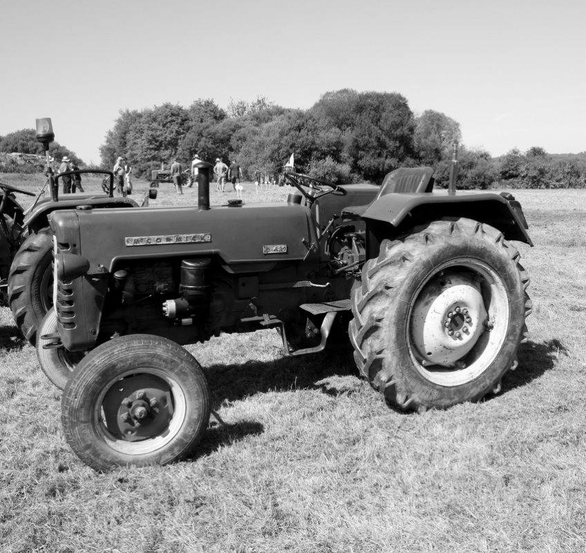 RB0A6117-002.JPG